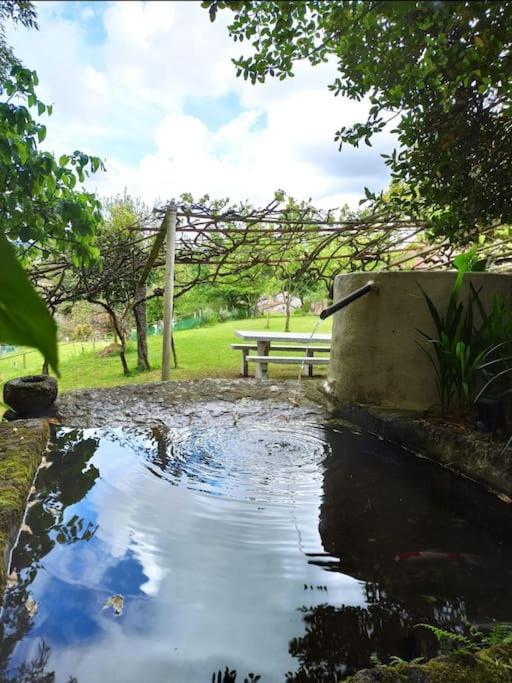 A Vina De Lina. Turismo Rural Con Piscina Y Finca. Pontevedra Luaran gambar